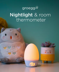 Tommee Tippee Groegg 2 Room Thermometer - Bella Baby, Award Winning Baby  Shop